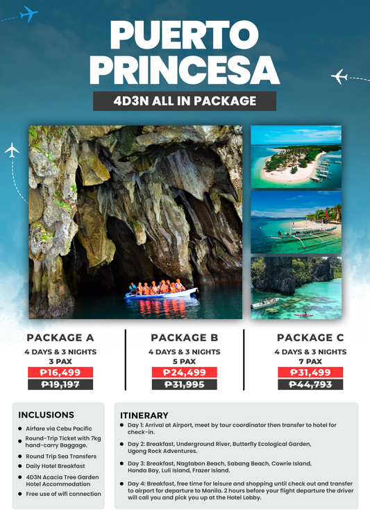 PUERTO PRINCESA PACKAGE